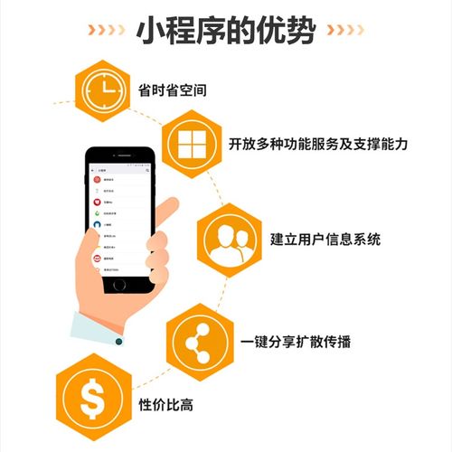 漳州乐网科技 微信小程序多少钱 分销商城系统哪家便宜